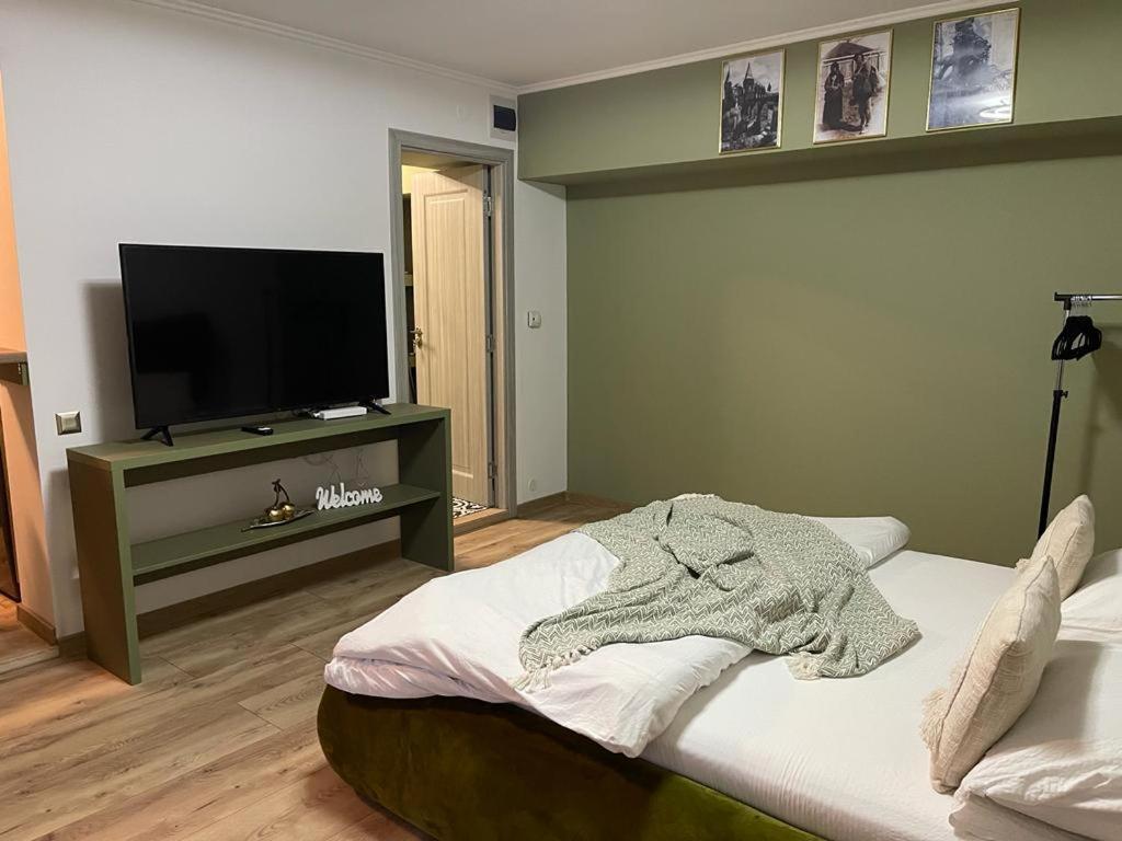 Magic Green Studio Hunedoara Apartment Exterior photo